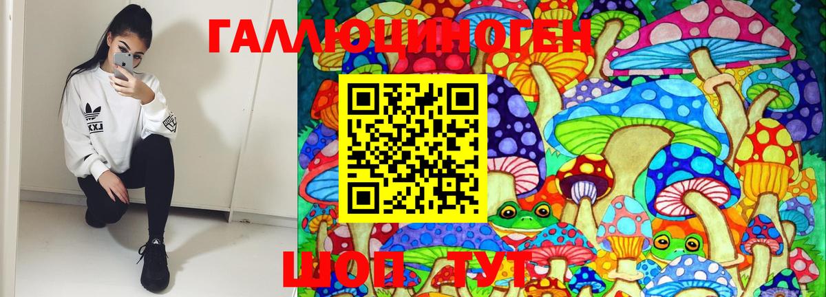 Псилоцибиновые грибы Psilocybe  Вход с VPN  Ликино-Дулёво 